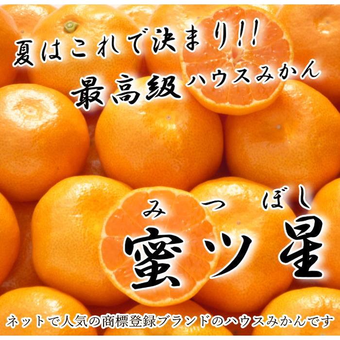 ハウスみかん お中元 甘い 送料無料 ギフト 高級 贈答 農家直送 新鮮 濃厚 (04) 蜜ツ星 みつぼし 黒の化粧箱(中) Ｍサイズ 秀品 １２玉 |  | 02