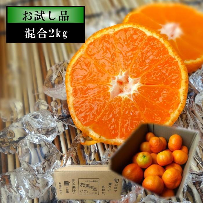 ハウスみかん お中元 甘い 送料無料 ギフト 高級 贈答 農家直送 新鮮 濃厚 (25) 蜜ツ星 みつぼし サイズ混合 お試し品 約２ｋｇ入 | 