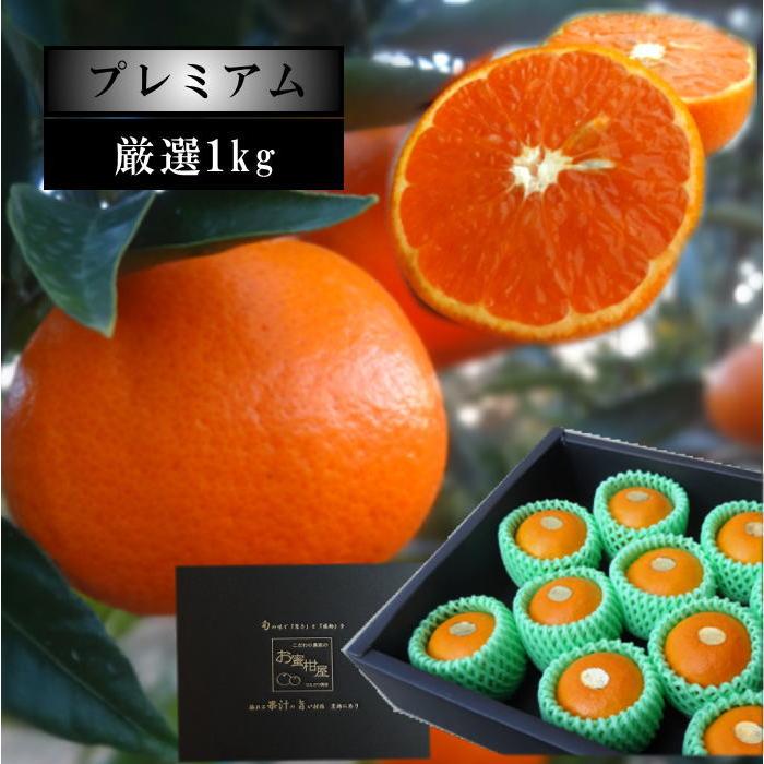 爆買 みかん お歳暮 津之望 中晩柑 高糖度 甘い 送料無料 高級 農家