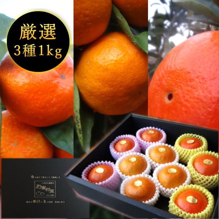 みかん みはや 夕焼け姫 完熟 お歳暮 高糖度 甘い 送料無料 ギフト 高級 (141) お蜜柑屋店長のプレミアムギフト 極み 黒の化粧箱 三種詰め合わせ　約1kg入 | 