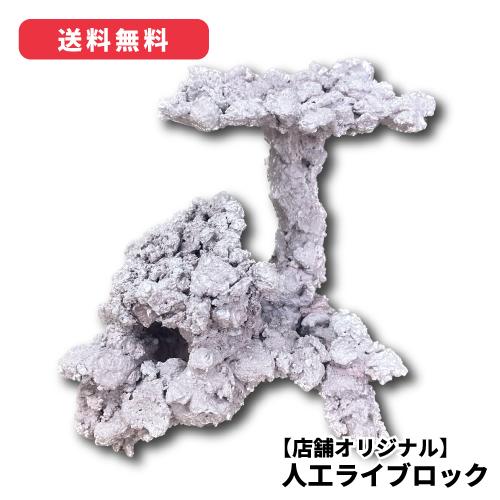 オリジナル 人工ライブロック サイズ：16cm (高)× 20cm (横)× 17cm (奥
