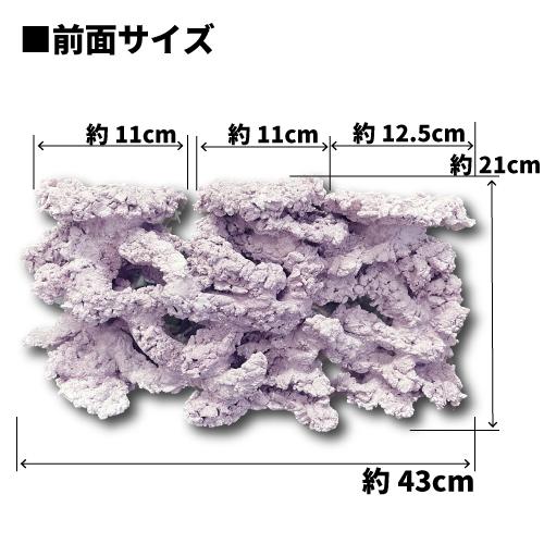 オリジナル 人工ライブロック サイズ：21cm (高)×43cm (横)× 13cm (奥