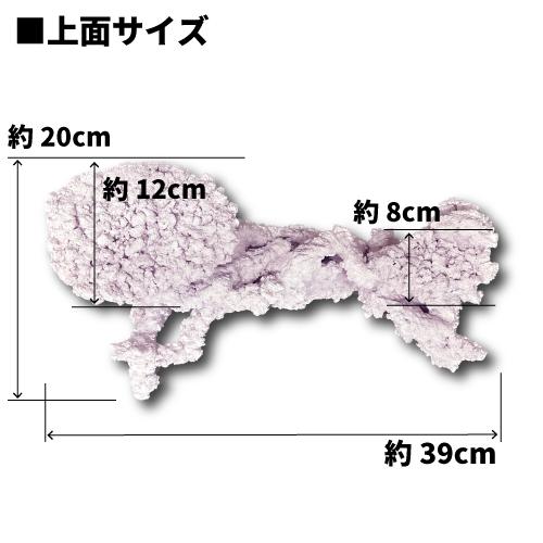 オリジナル 人工ライブロック サイズ：17cm (高)×39cm (横)× 20cm (奥