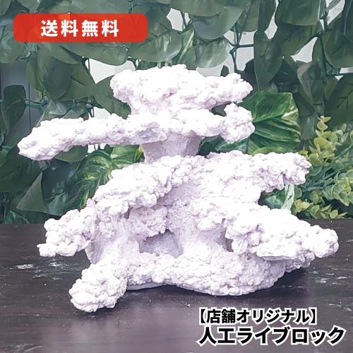 オリジナル 人工ライブロック サイズ：14cm (高)×20cm (横)× 20cm (奥