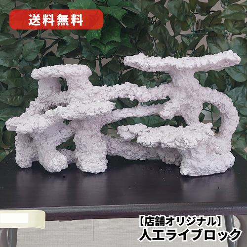 人工ライブロック（アクアリウムショップ製作） 人工ライブロックを作ってみた-リセット&レイアウト編 | Nの適当ブログ