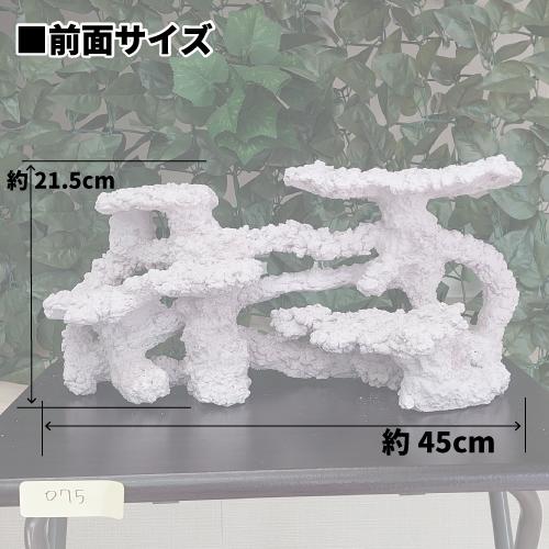 オリジナル 人工ライブロック サイズ：21.5cm (高)×45cm (横)× 23.5cm