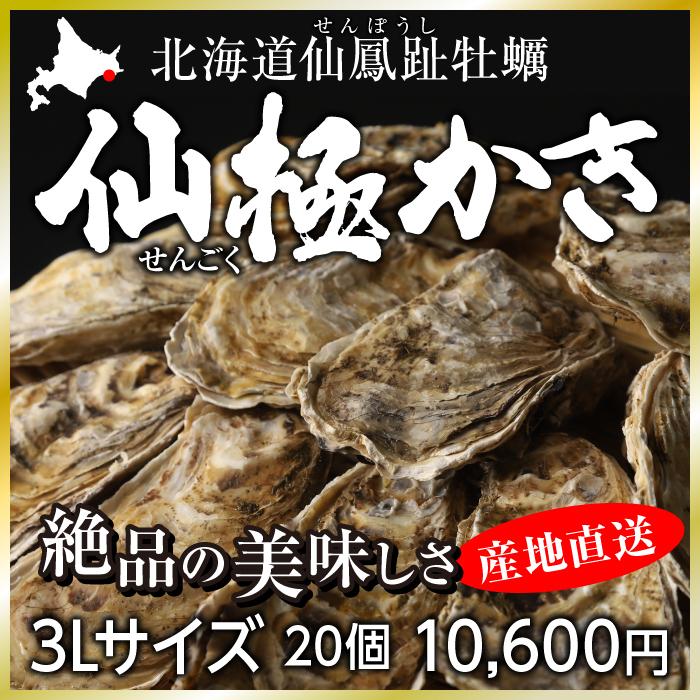 仙極かき 3l個 購買