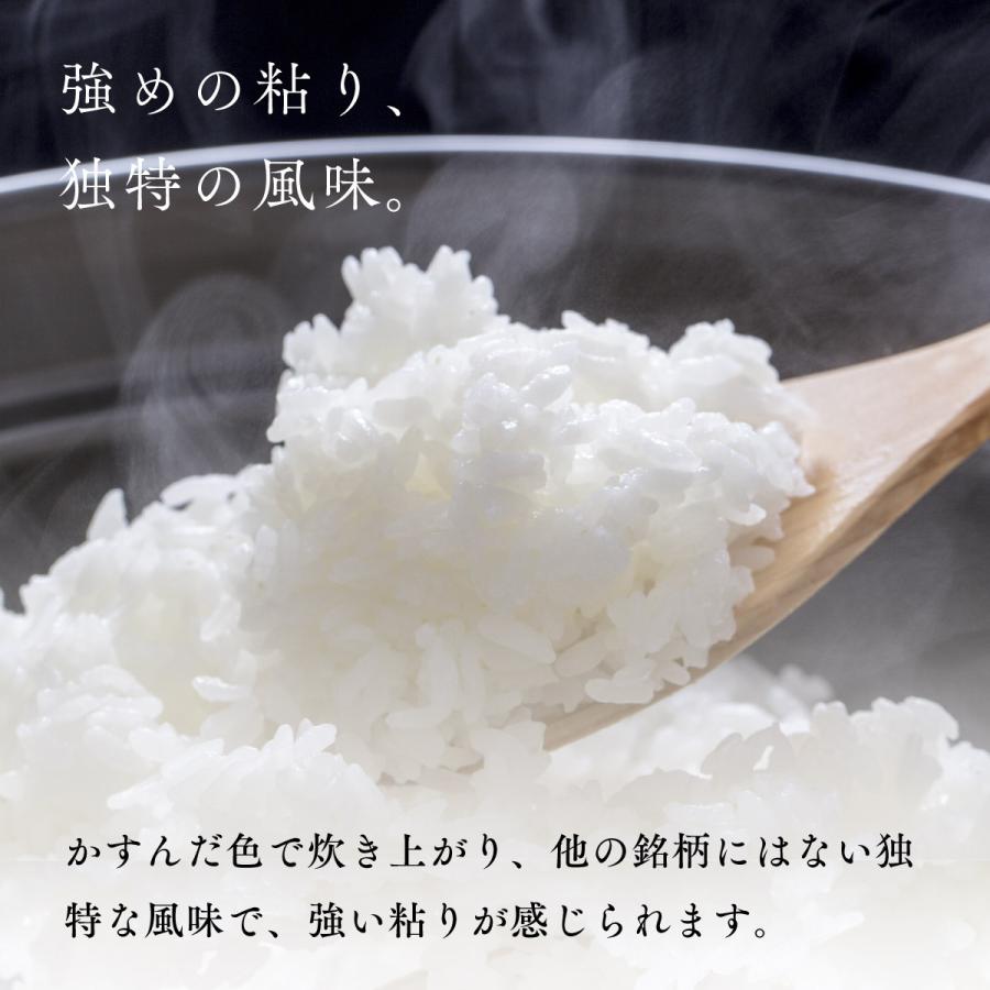 丸吉茅野商店 おぼろづき 30kg 5kg×6袋 白米27kg 玄米30kg 北海道産 令