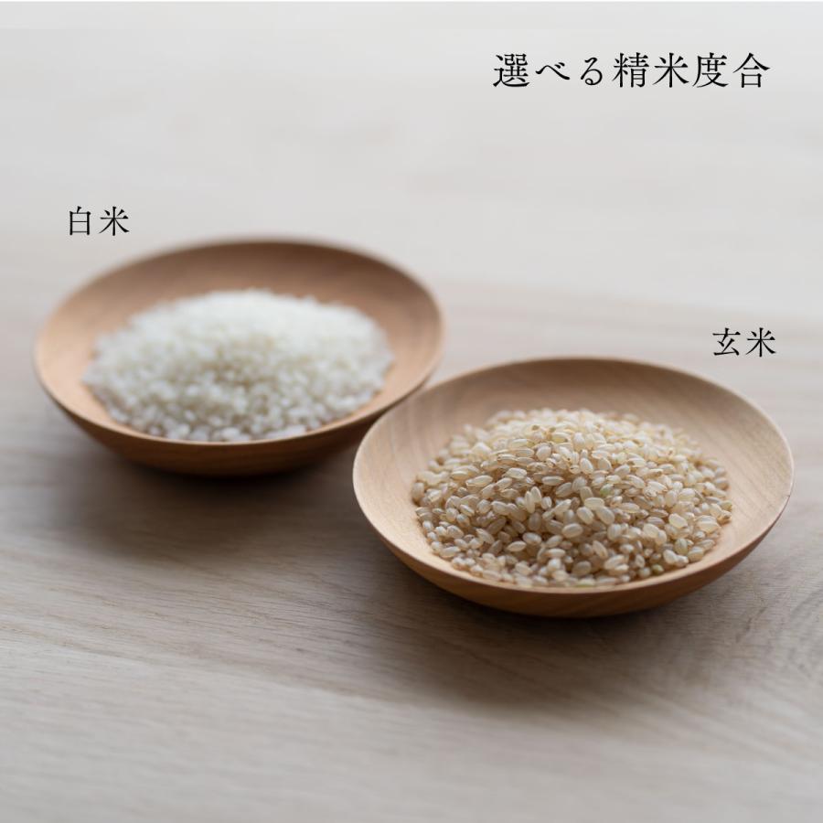 ふっくりんこ 30kg 5kg×6袋 白米27kg 玄米30kg 北海道産 令和7年産