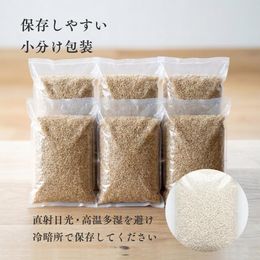 ななつぼし 30kg 5kg×6袋 白米27kg 玄米30kg 北海道 上川・空知産 令和