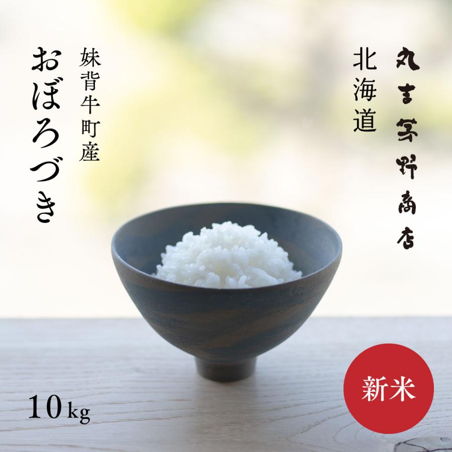 北海道産 おぼろづき 10kg 5kg×2袋 白米 令和6年産 産地限定 米 お米 送料無料 真空パックに変更可 の商品画像