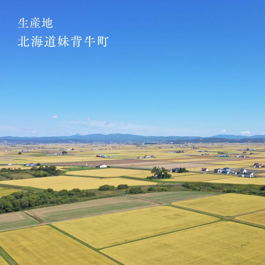 北海道産 おぼろづき お試し 750g 5合 白米 令和7年産 産地限定 米 お米 送料無料 ポイント消化 | 丸吉茅野商店 | 04