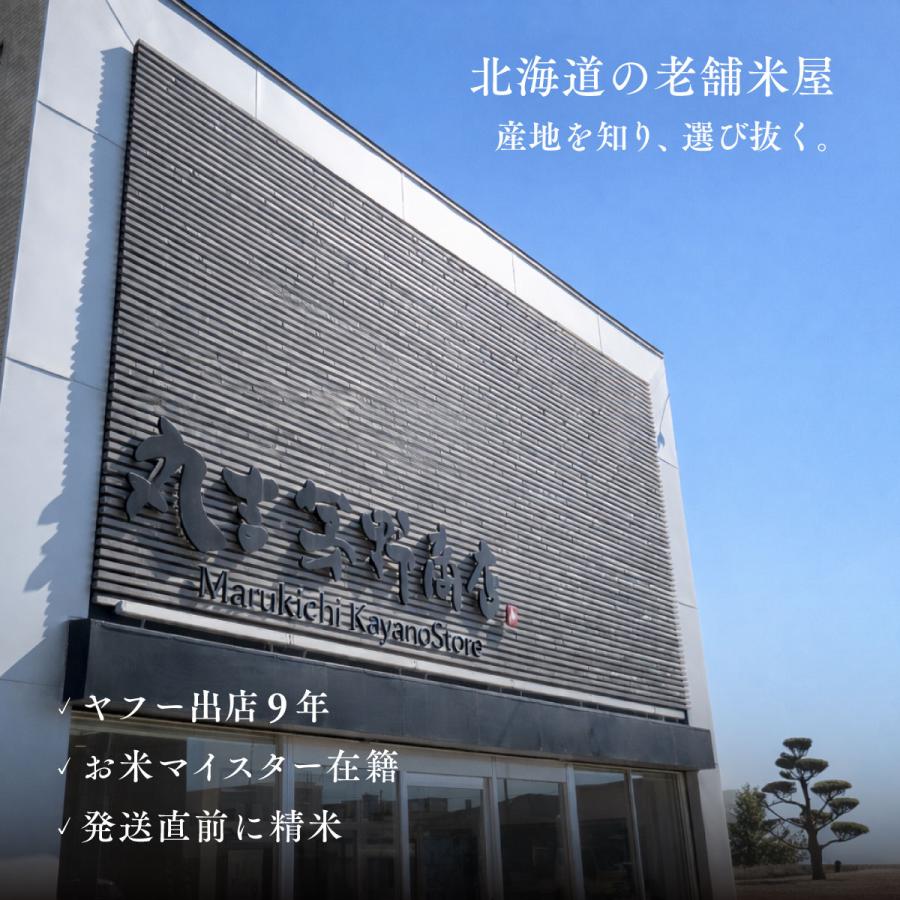 北海道産 ななつぼし 10kg 5kg×2袋 白米 令和7年産 特A 米 お米 送料無料 鮮度保持パック変更可の画像
