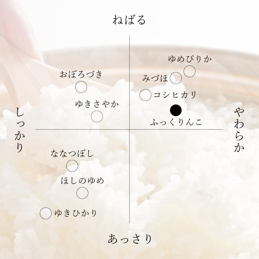 ふっくりんこ 北海道産 10kg 5kg×2袋 白米 令和7年産 米 お米 送料無料