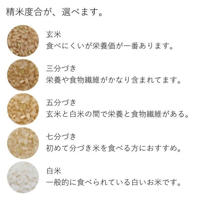 高価値セリー お米 米 10kg 瀬川さんが育てた ふっくりんこ 5kg×2袋 北海道深川市稲田産 玄米 白米 分づき米 令和3年産 特A 送料無料 真空パックに変更可 materialworldblog.com 高価値セリー お米 米 10kg 瀬川さんが育てた ふっくりんこ 5kg×2袋 北海道深川市稲田産 玄米 白米 分づき米 令和3年産 特A 送料無料 真空パックに変更可 materialworldblog.com
