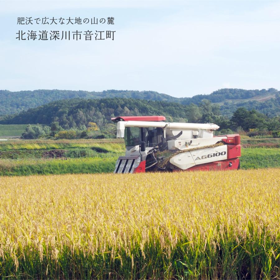 瀬川さんが育てた ふっくりんこ 10kg 5kg×2袋 北海道深川市稲田産 玄米 白米 分づき米 令和5年産 米 お米 送料無料 真空パックに変更可｜marukichikayano｜08