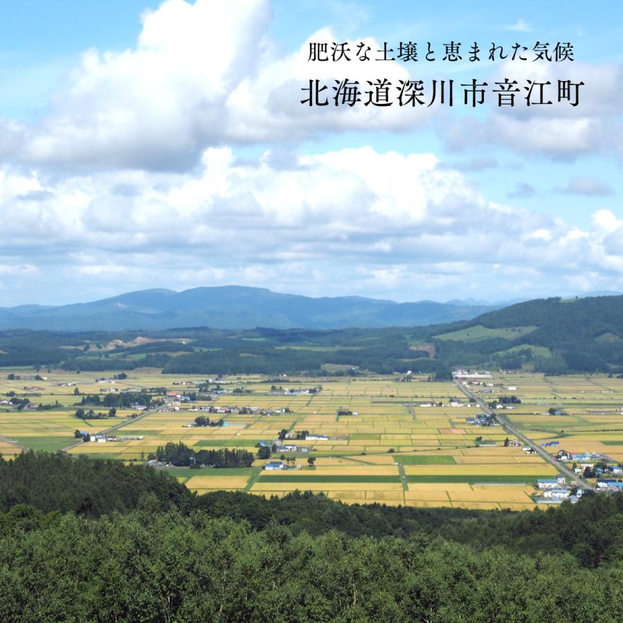 特別栽培米 ゆめぴりか 5kg 北海道深川市音江産 玄米 白米 分づき米 令和5年産 米 お米 送料無料 真空パックに変更可｜marukichikayano｜09