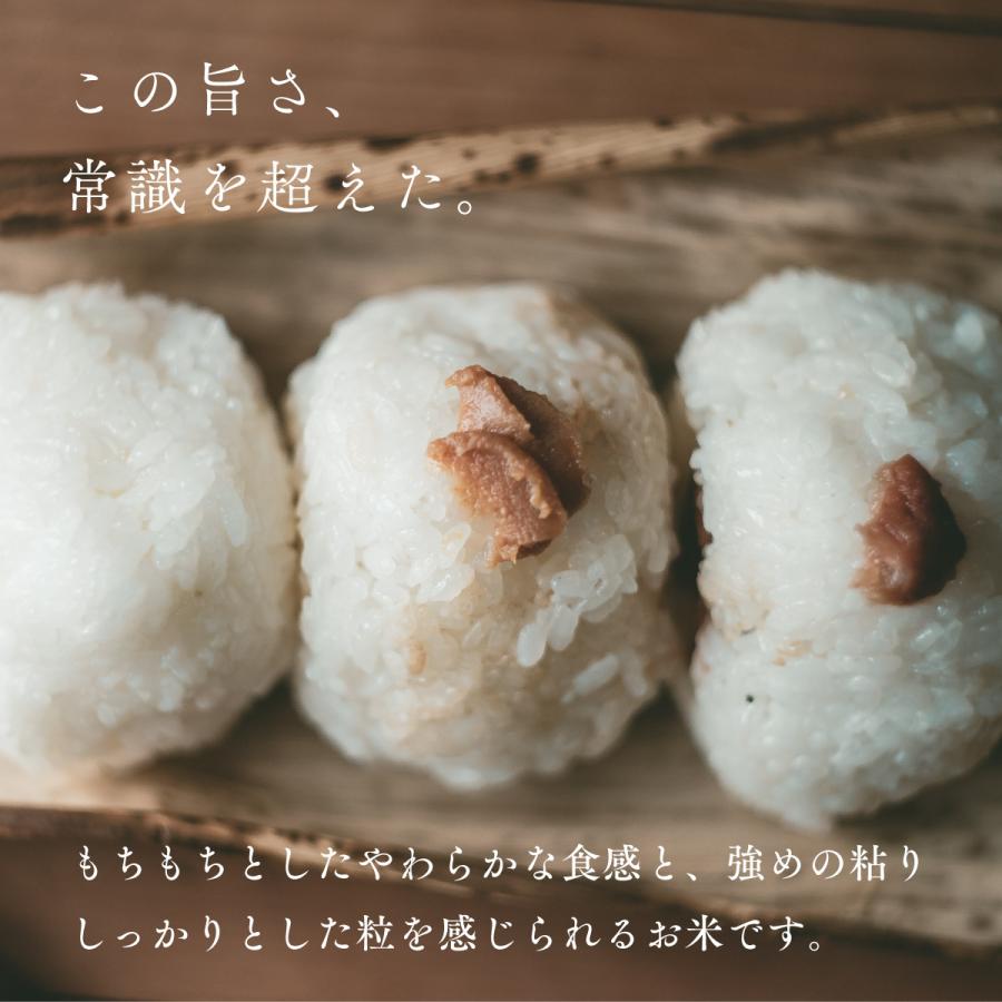 ゆめぴりか 特別栽培米 10kg 5kg×2袋 北海道深川市音江産 玄米 白米 分