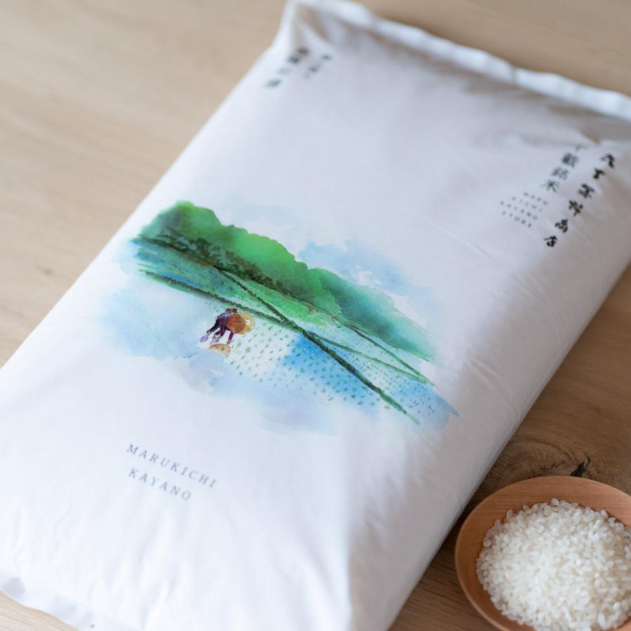 無洗米 北海道産 ななつぼし 5kg 令和7年産 米 お米 送料無料 真空パックに変更可 | ななつぼし | 05