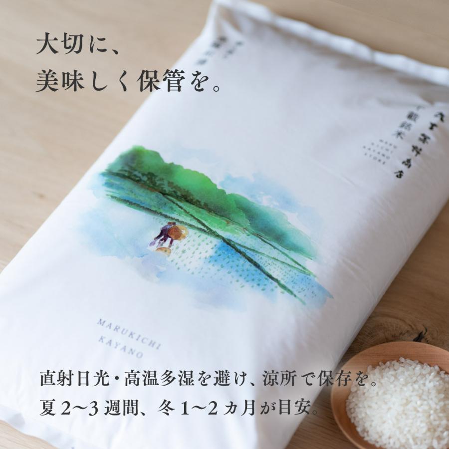 ななつぼし10キロ 北海道産ななつぼし 10kg | Costco Japan