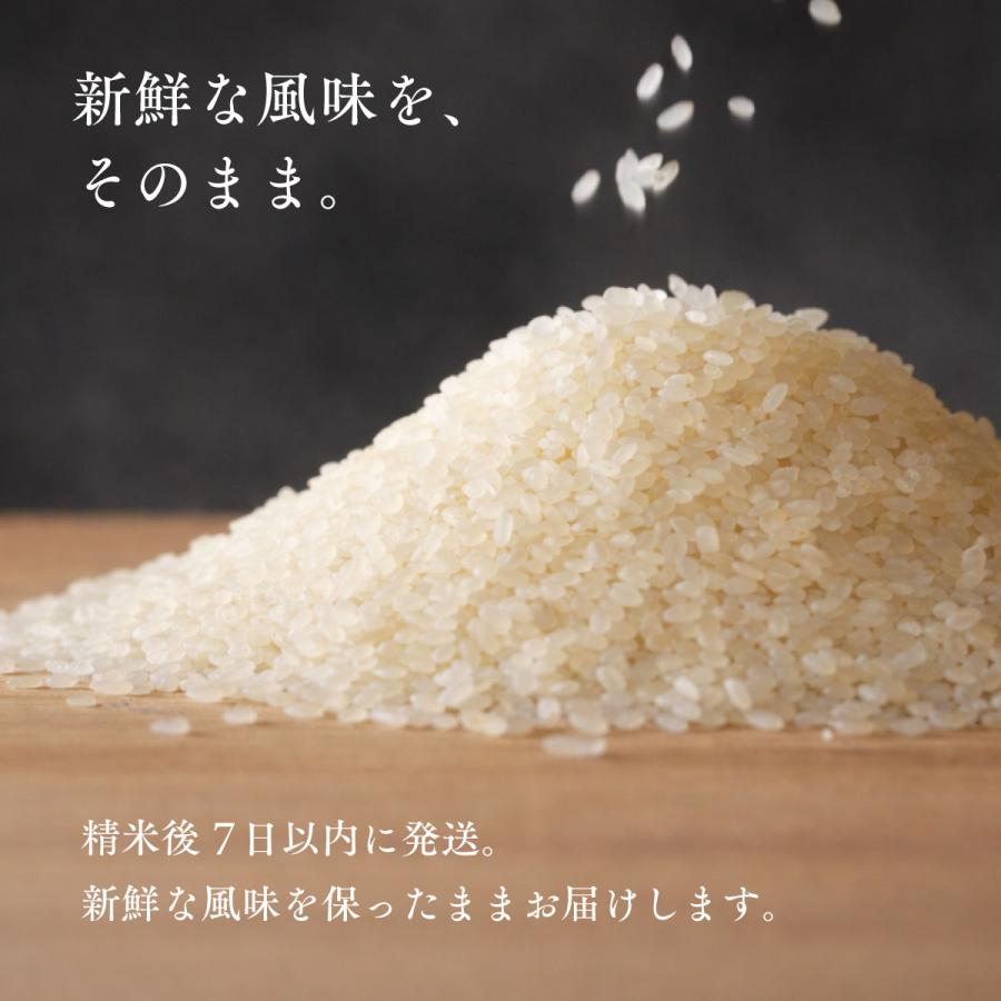 ゆめぴりか 無洗米 北海道産 5kg 令和7年産 特A 米 お米 送料無料 鮮度