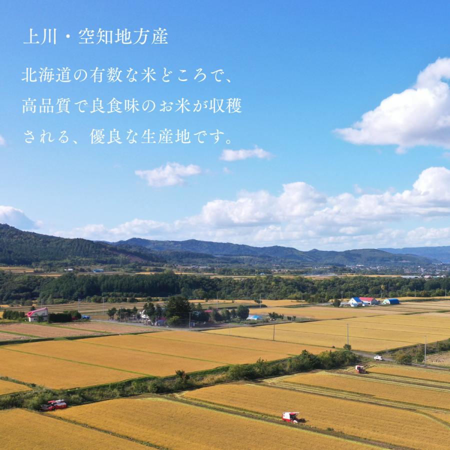 ポイント15% 産地限定 ゆめぴりか お試し 900g 6合 北海道産 白米 令和5年産 米 お米 送料無料 ポイント消化｜marukichikayano｜05