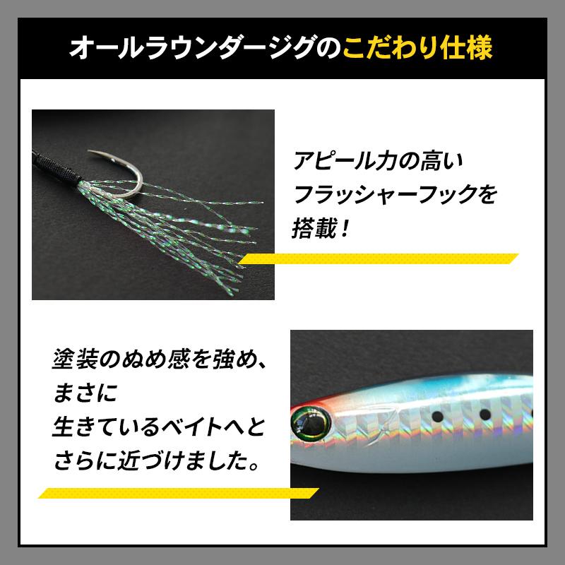 ZiAi オールラウンダージグ スタンダードタイプ 25g メタルジグ