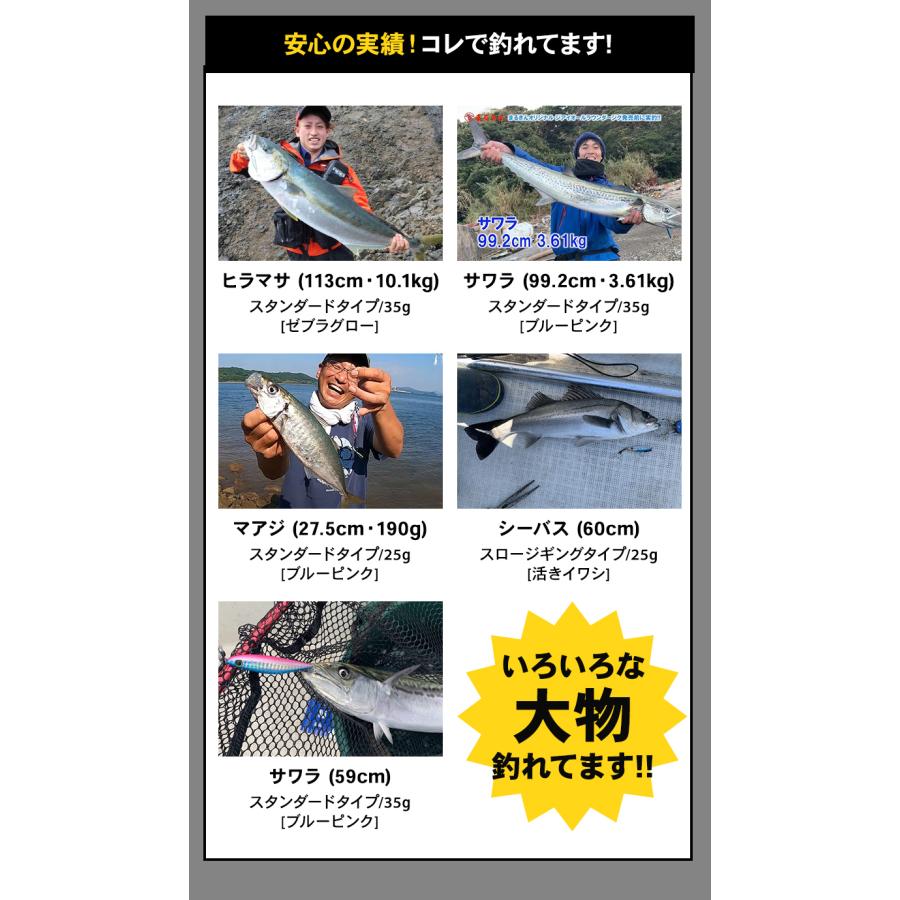 ZiAi オールラウンダージグ スタンダードタイプ 25g メタルジグ