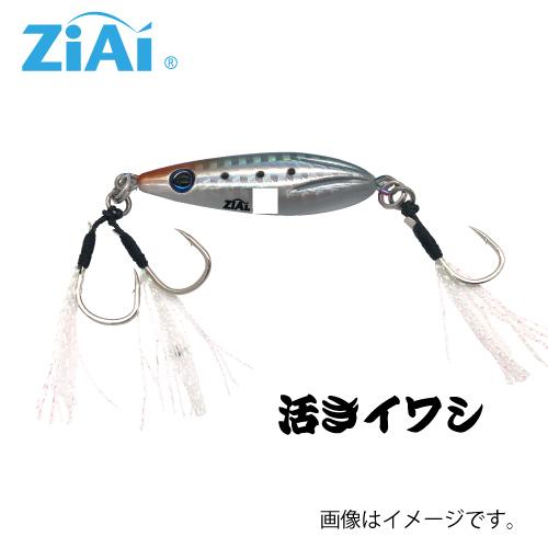 ZiAi オールラウンダージグ スロージギングタイプ 35g : つり具の