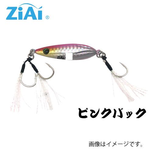 ZiAi オールラウンダージグ スロージギングタイプ 45g : つり具の