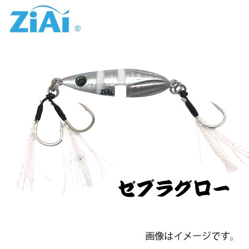 ZiAi オールラウンダージグ スロージギングタイプ 45g : つり具の