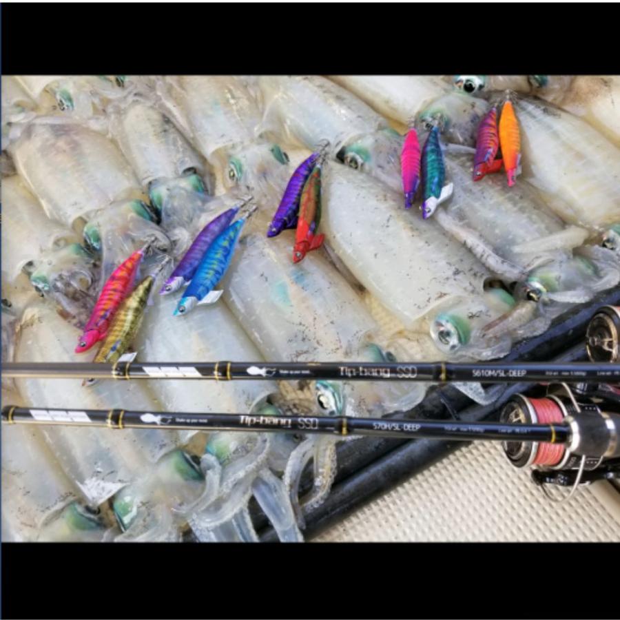 tailwalk ティップランエギングロッド 楽天市場】テイルウォーク ティップランの通販