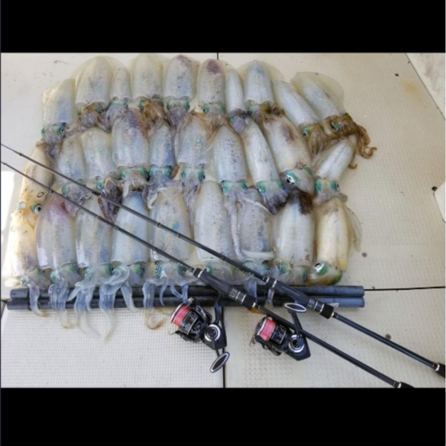 tailwalk ティップランエギングロッド 楽天市場】テイルウォーク ティップランの通販