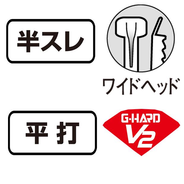 Gamakatsu（がまかつ） V2ヒラマサ 15号 ケイムラシルバー 5本入り