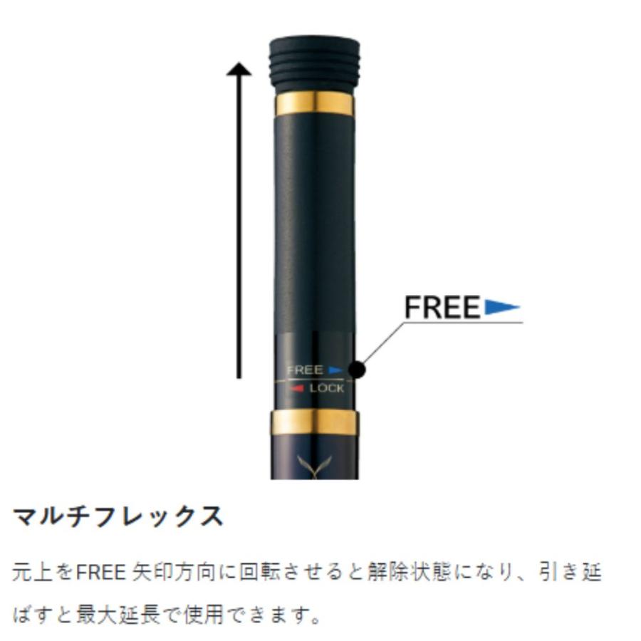 Gamakatsu（がまかつ） がま磯 マルチフレックス たもの柄4 IV H5.5m