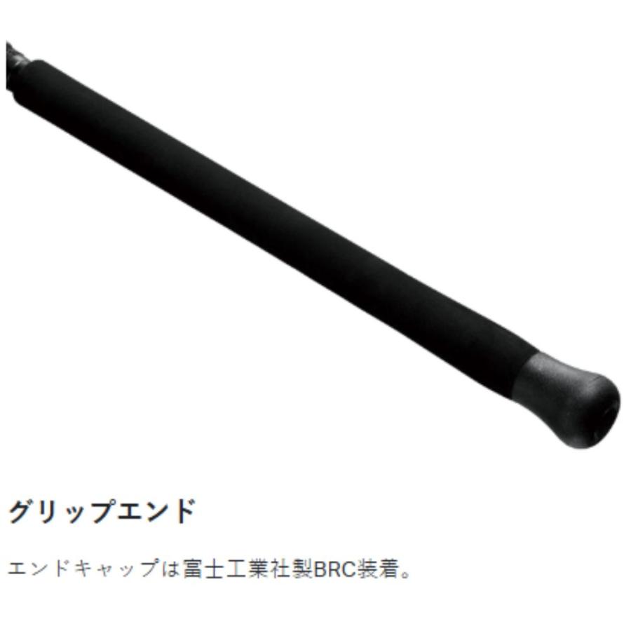 Gamakatsu（がまかつ） ラグゼ アークフレックスRS S100H ショアジギ