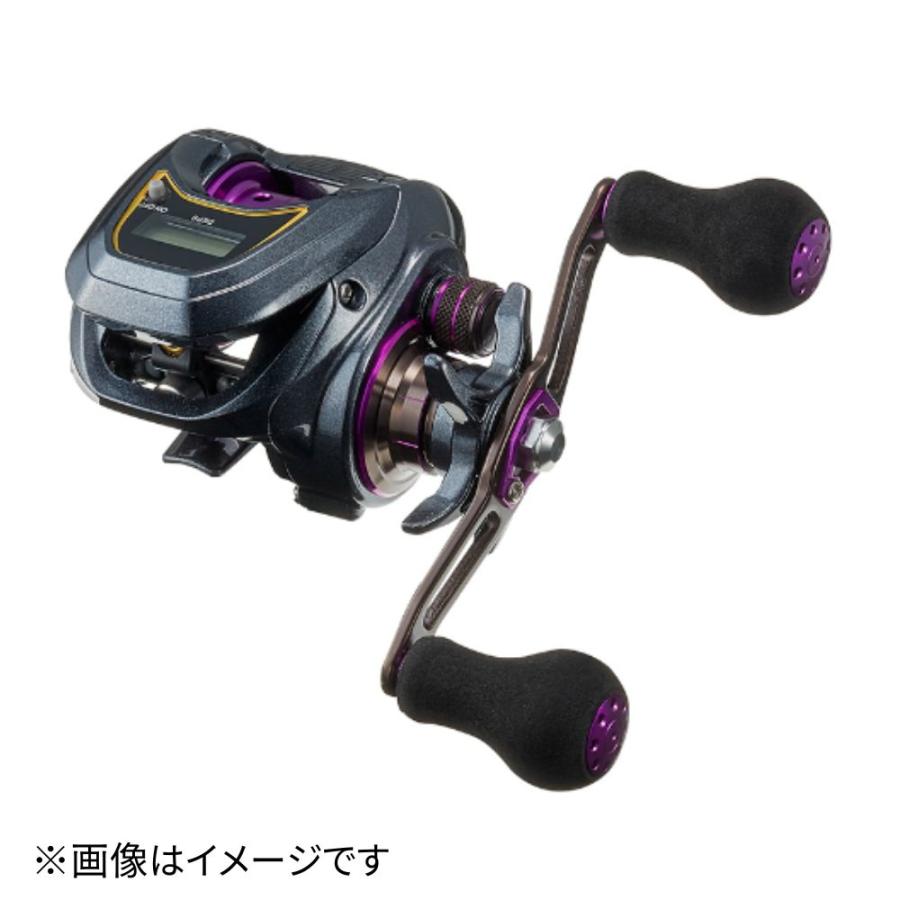 DAIWA（ダイワ） ライトSW X IC L 左ハンドル : つり具のまるきん