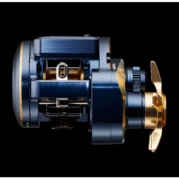DAIWA（釣り） ダイワ 21 ソルティガIC 100P-DH : つり具の
