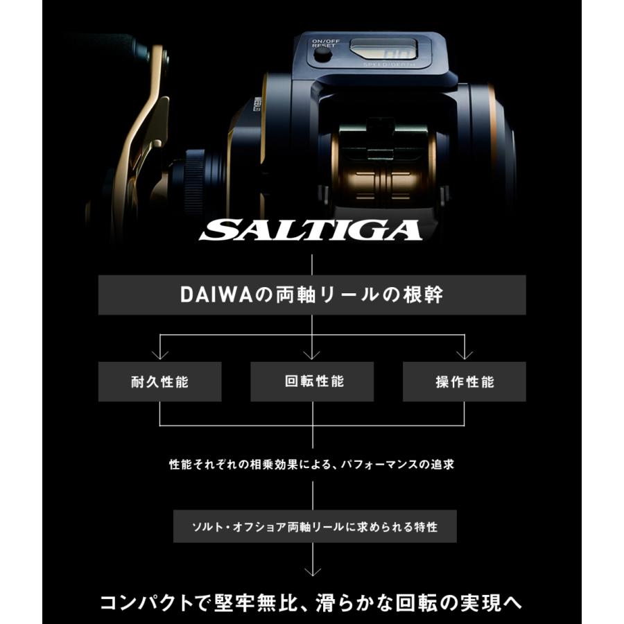DAIWA（ダイワ） 21 ソルティガIC 100 : つり具のまるきん ヤフー店