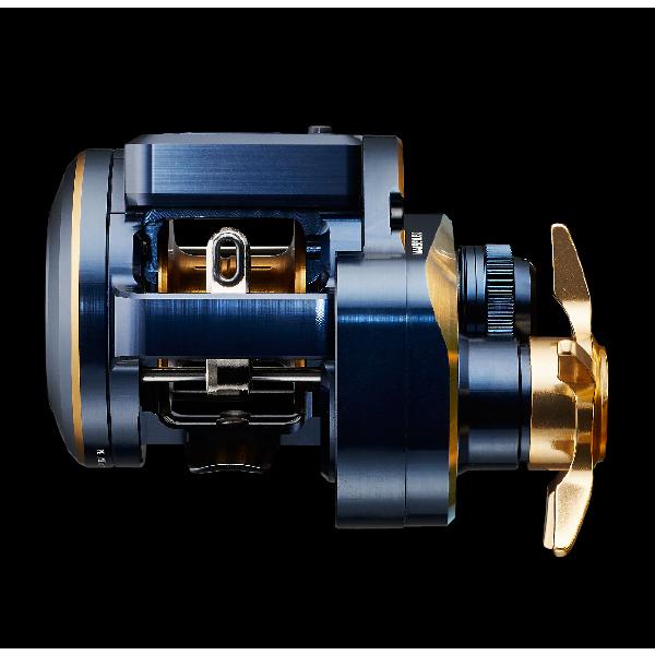 DAIWA（ダイワ） 21 ソルティガIC 100 : つり具のまるきん ヤフー店