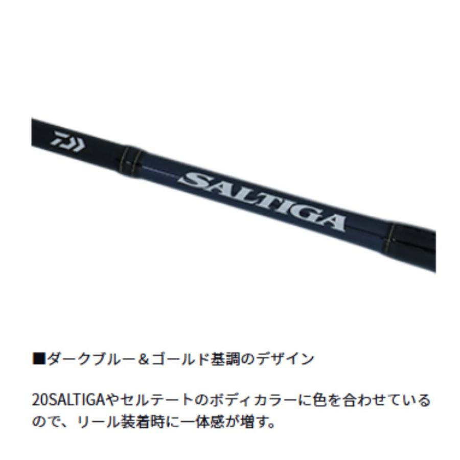 DAIWA（釣り） ダイワ ソルティガ R J60S-3 HI スピニングロッド