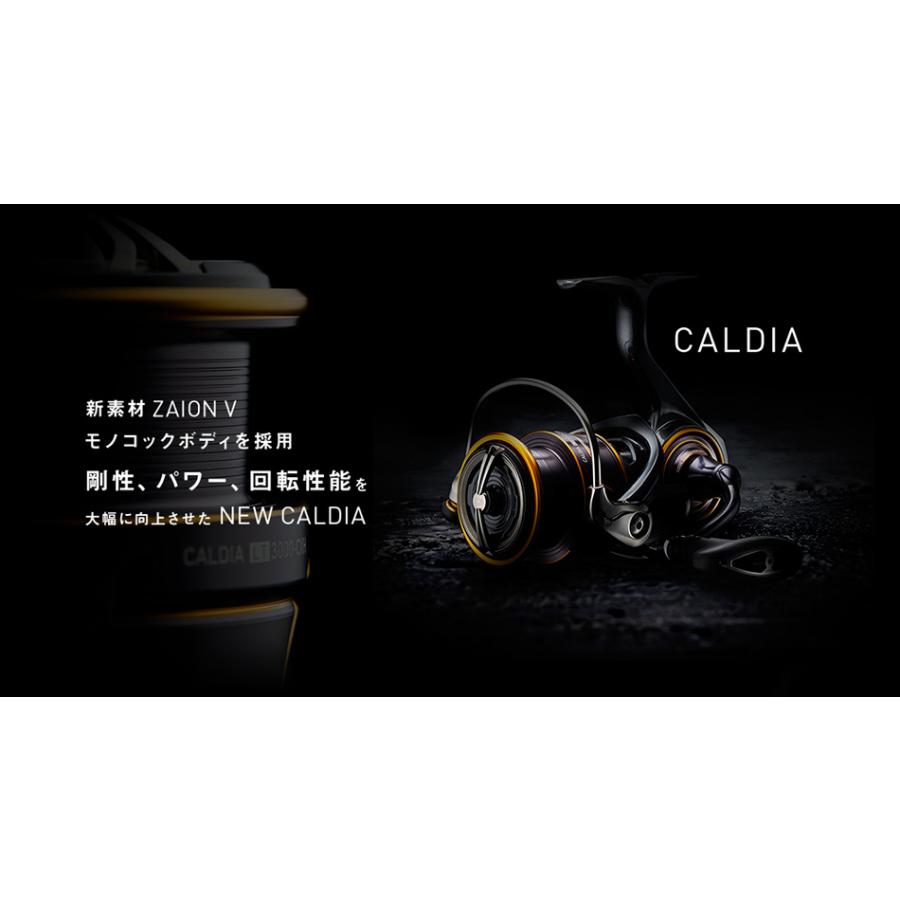 DAIWA(釣り) ダイワ 21カルディア LT2500 : つり具のまるきん DAIWA(釣り) ダイワ 21カルディア LT2500 : つり具のまるきん
