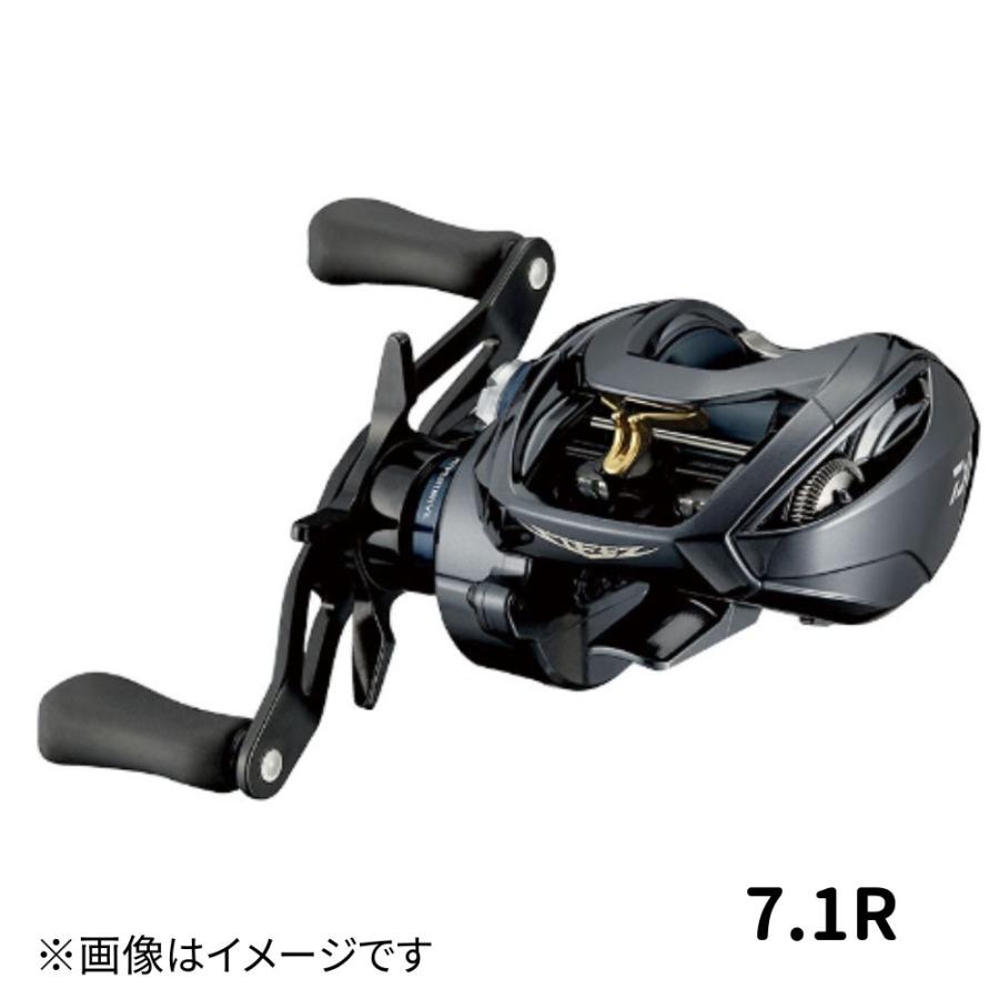 DAIWA（ダイワ） スティーズ (STEEZ) A TW HLC 7.1R : つり具の