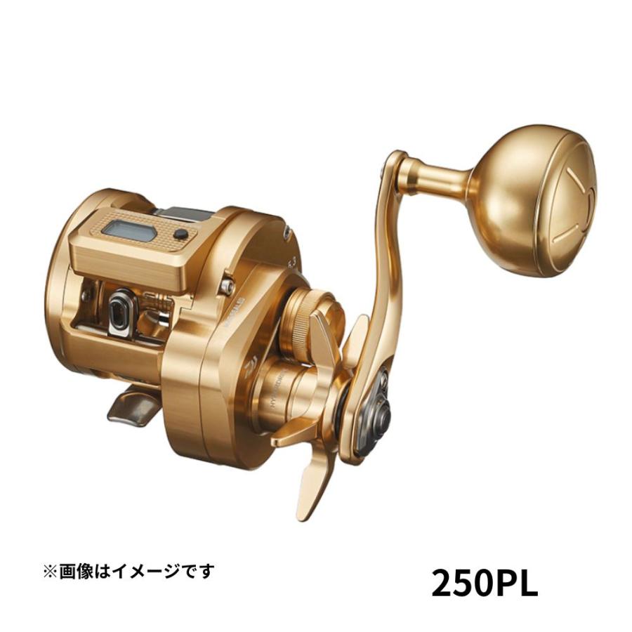 21バサラIC 250PL(左) DAIWA（ダイワ） 21 バサラ (BASARA) IC 250PL 左ハンドル : つり具の