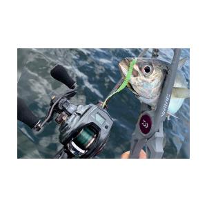 DAIWA（ダイワ） ティエラ IC 100HL 左巻き マダイ イカ 船 リール