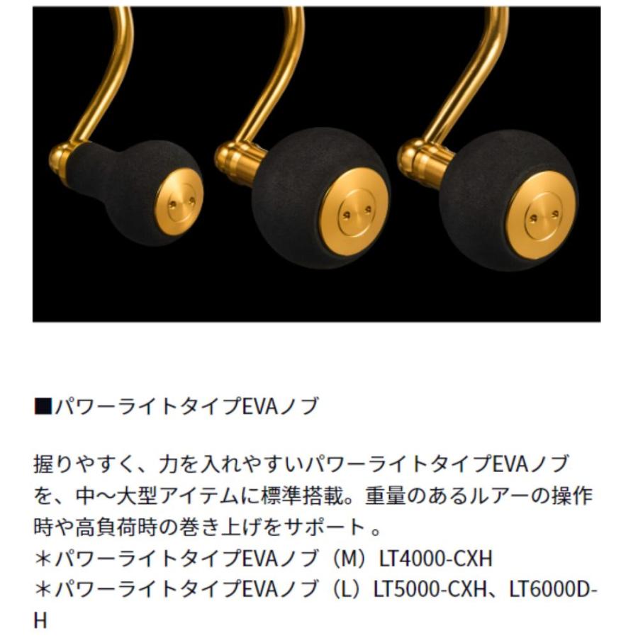 DAIWA（ダイワ） 23レガリス LT5000-CXH スピニングリール