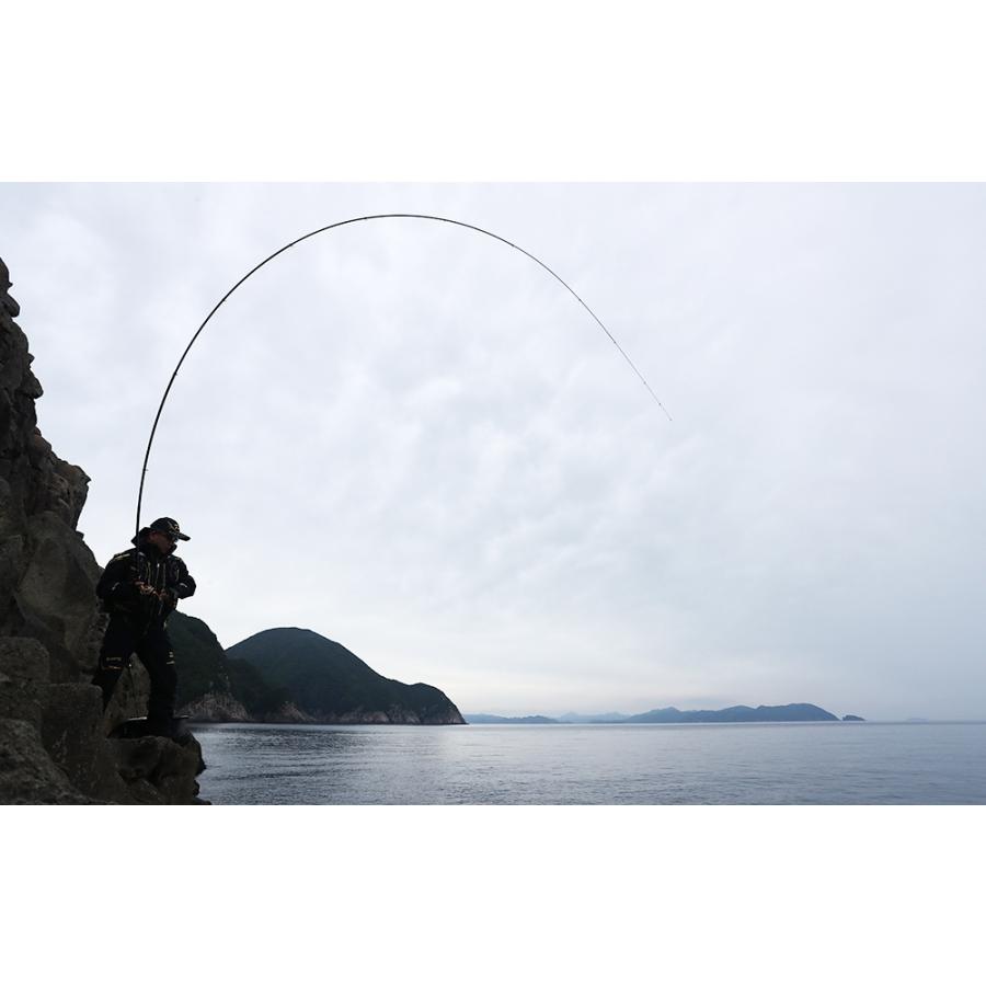 DAIWA（ダイワ） 21メガディス AGS 1.75-50・N 磯 グレ フカセ釣り