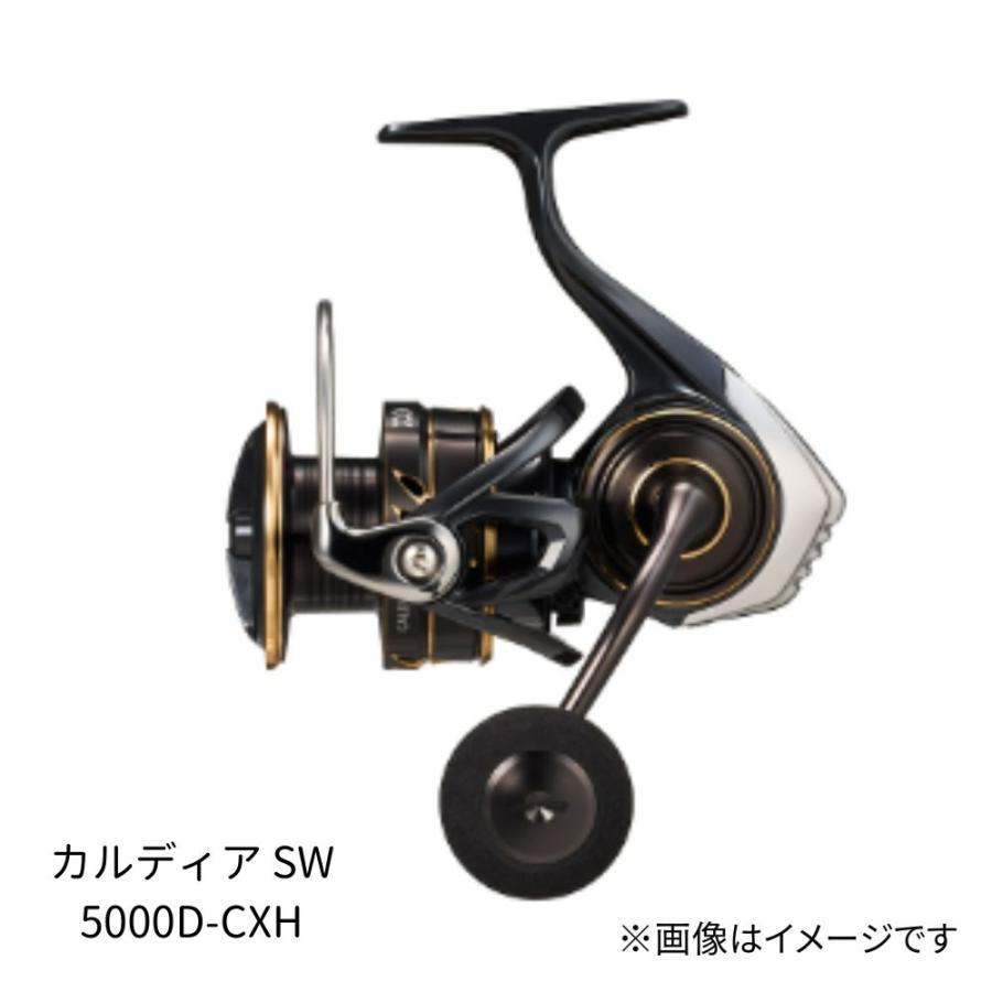 DAIWA（釣り） ダイワ 22CALDIA SW 5000D-CXH : つり具のまるきん 