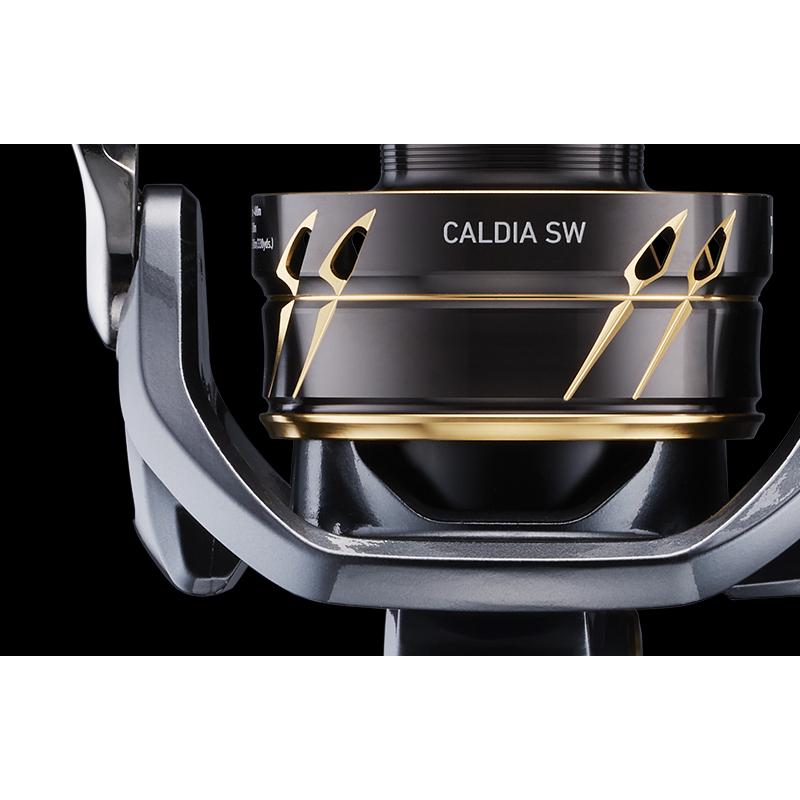 DAIWA（釣り） 22カルディア SW 8000-H ジギング 青物 : つり具の 