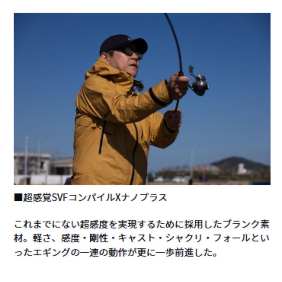 DAIWA（釣り） ダイワ エメラルダス STOIST RT IL 79MMH エギング